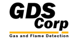 GDS CORP