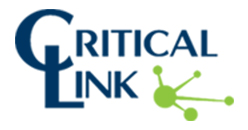 CRITICAL LINK