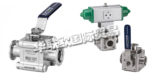 美(měi)國ANCORP公司主要供應：美(měi)國ANCORP閥門(mén),ANCORP過濾器，真空(kōng)閥，疏水(shuǐ)閥，真空(kōng)球閥，二通球閥，三通球閥，高(gāo)電導球閥，顆粒分離器，螺栓，螺母，固定環，夾具等産品。