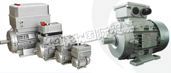 意大(dà)利BERMAR公司的主要産品包括：意大(dà)利BERMAR電機、BERMAR電動機、異步電機、異步電動機、永磁發動機、逆變器、伺服通風(fēng)電動機、伺服電動機、工(gōng)業洗衣機電動機、單相電動機、DRIVEJET鼓風(fēng)機、高(gāo)效電機、泵、風(fēng)扇、工(gōng)業壓縮機。
